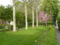 Jardin_enclos_rey_-_courte.jpg